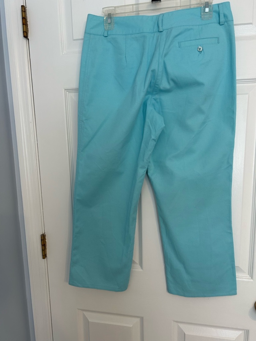 Lily Pulitzer Aqua Cropped Pants - Picture 4 of 5